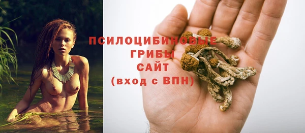 прущие крисы Горнозаводск