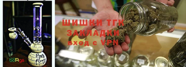 гидропоника Горняк