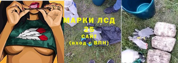 гидропоника Горняк
