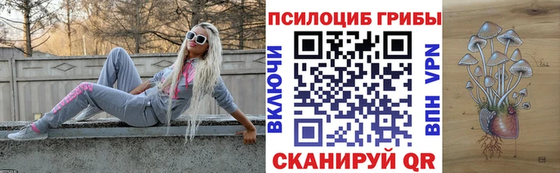 Галлюциногенные грибы GOLDEN TEACHER  цены наркотик  Малмыж 